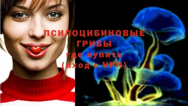 шишки Беломорск