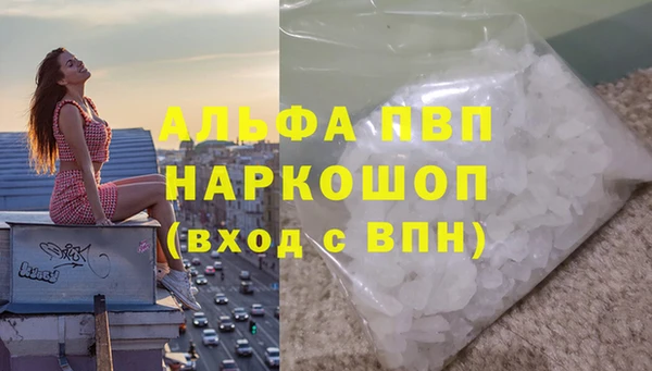 шишки Беломорск