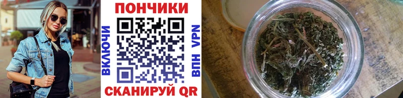 Бошки марихуана конопля  blacksprut онион  Богданович 
